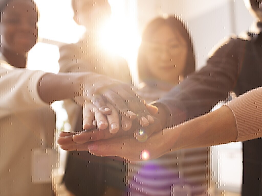 Comissão de Direito do Terceiro Setor da OAB SP comemora apoio da advocacia na supressão de artigo que alteraria PL 68/2024