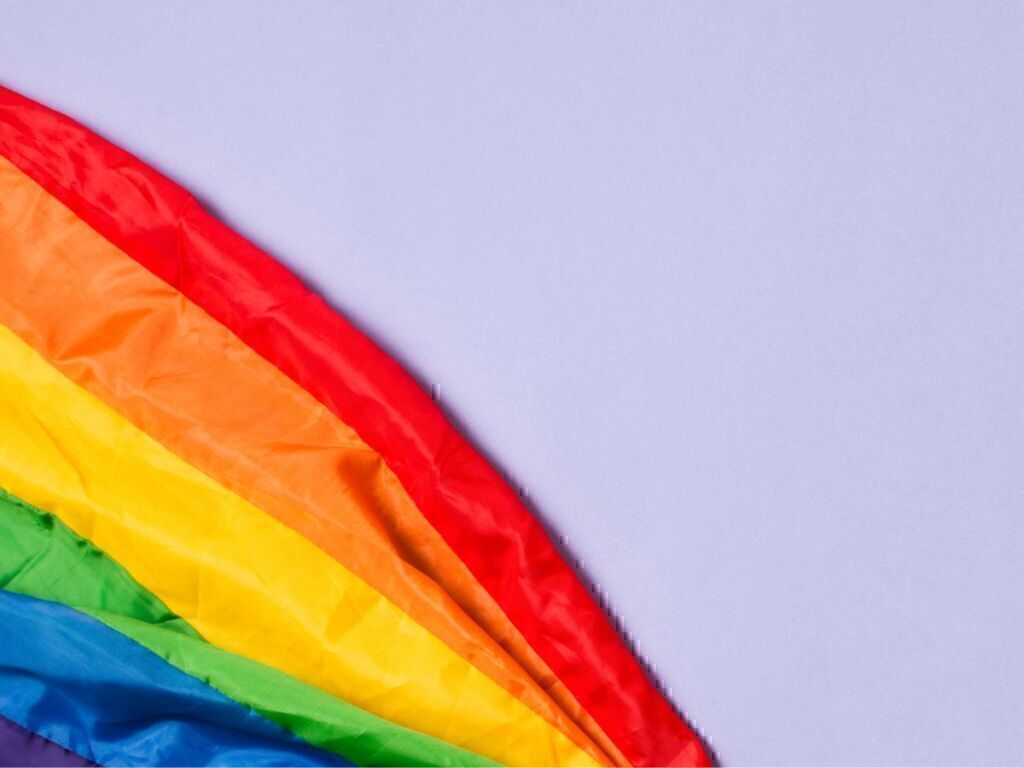 Comissão da Diversidade Sexual e de Gênero na Parada do Orgulho LGBT+ de São Paulo