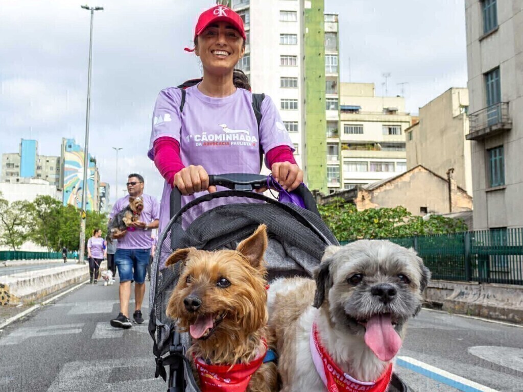 2ª Cãominhada da Advocacia acontece em 26 de outubro; inscreva-se